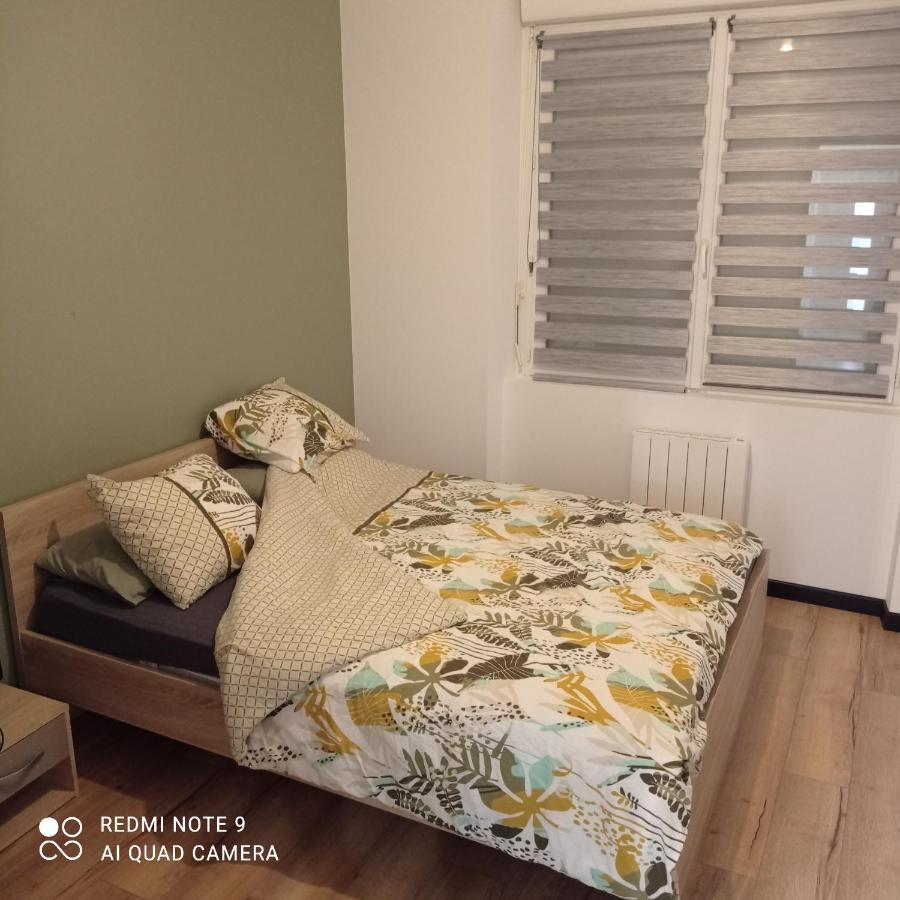 Maisonnette Tout Confort Parking Prive Brest Exterior foto